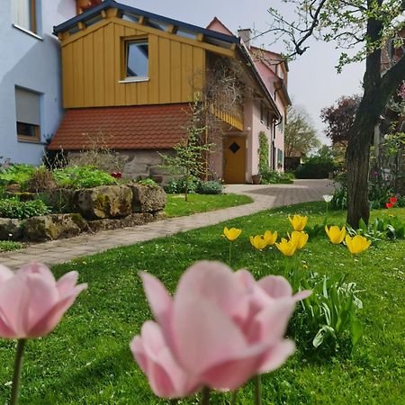 Ferienwohnung Wiesenhof Neuhof an der Zenn Eksteriør billede
